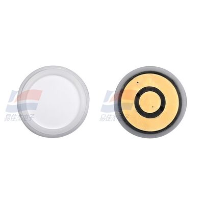 ASR-11-21 Galvanique Avancé - Capteur d'oxygène galvanique pour la surveillance des processus industriels et la détection de champs spéciaux