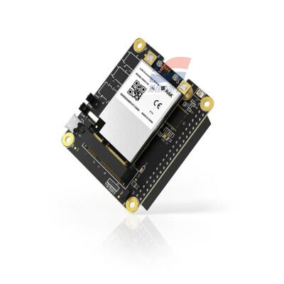 YJJ RAK5146 Module de concentrateur PiHAT adapté à LoRaWAN pour la collecte de données de capteurs