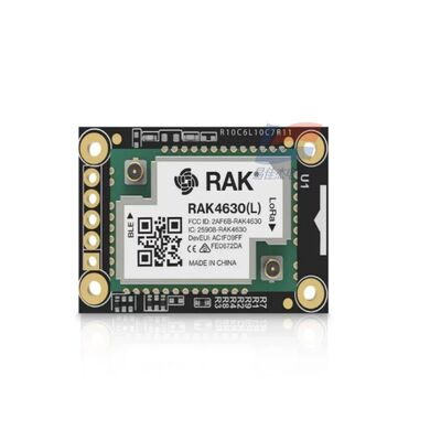 Le module YJJ RAK4631 Nordic NRF52840 BLE Core prend en charge LoRa SX1262 pour la surveillance industrielle de faible puissance