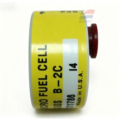 YJJ C06689-B2C Classe B-2C Capteur d'oxygène à trace de 0 à 10 ppm pour la fabrication électronique de semi-conducteurs