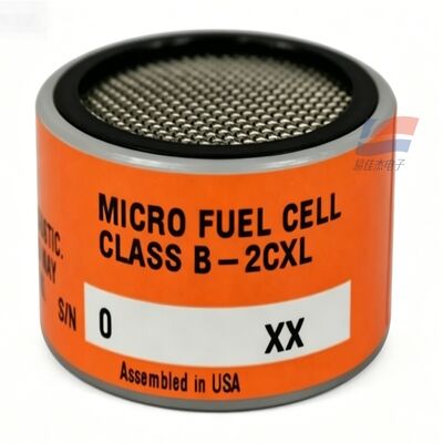 YJJ C06689-B2CXL Classe B-2CXL Capteur d'oxygène à très faible concentration 0-1ppm O2 Fabrication de plaquettes de semi-conducteurs